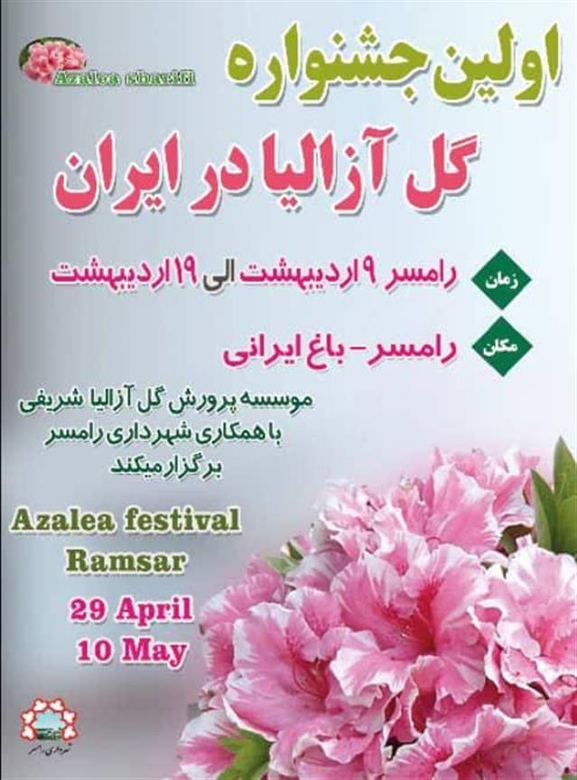 روابط عمومی شهردای رامسر/اولین جشنواره گل آزال ...