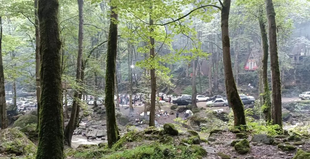 جنگل صفارود رامسر جنگل صفارود رامسر