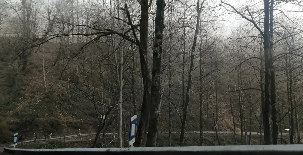 جنگل صفارود رامسر جنگل صفارود رامسر