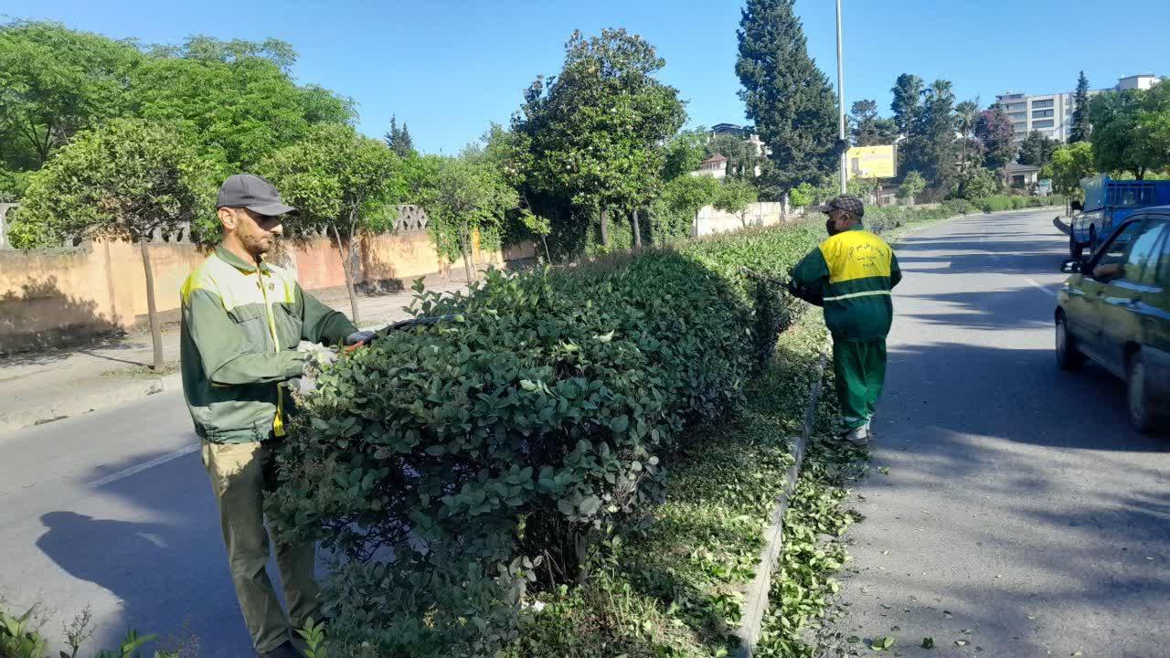 مردان ساعی فضای سبز پای کار شهر...
